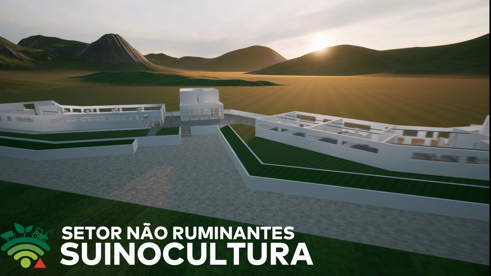 Setor Não Ruminantes – Suinocultura