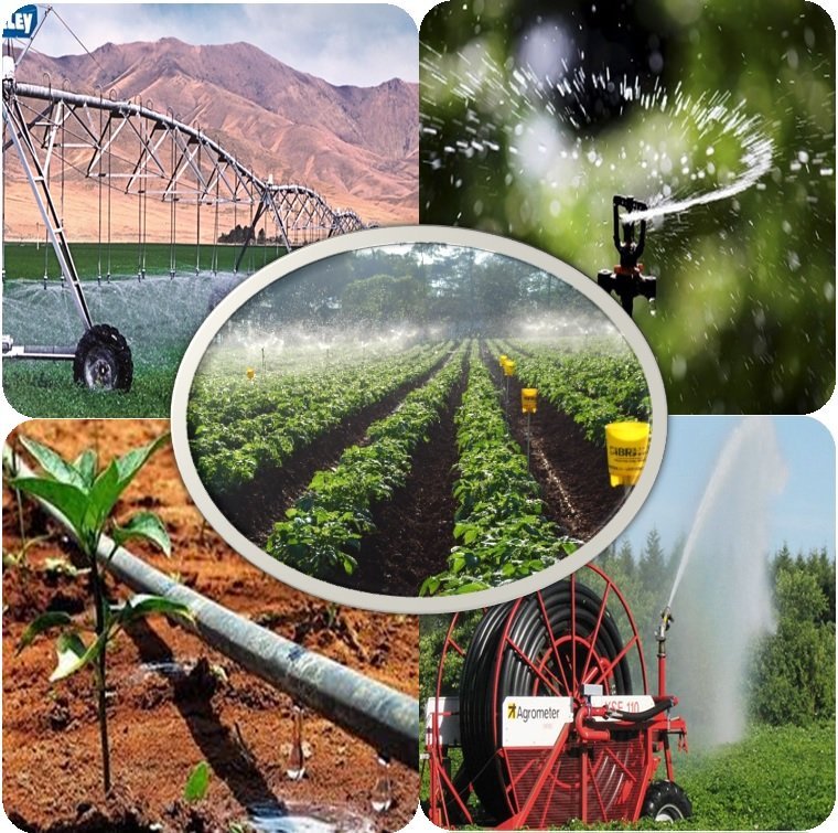 Metódos e manejo da irrigação