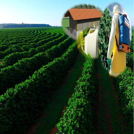 MANEJO DE PRODUTOS FITOSSANITARIOS-ANA FLAVIA