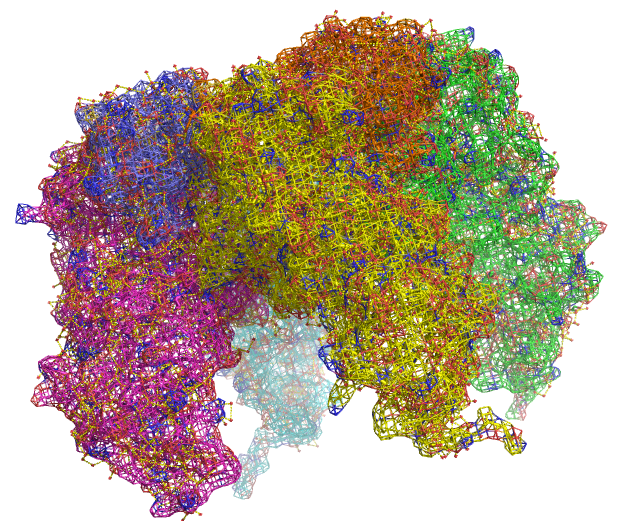 BIOINFORMATICA - EDUARDO