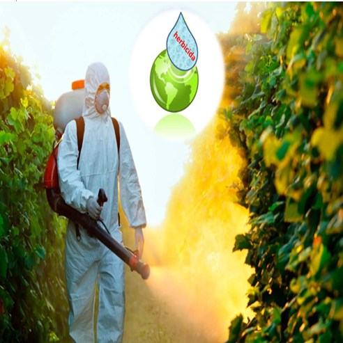 COMPORTAMENTO DO HERBICIDA NO MEIO AMBIENTE-ANA FLAVIA