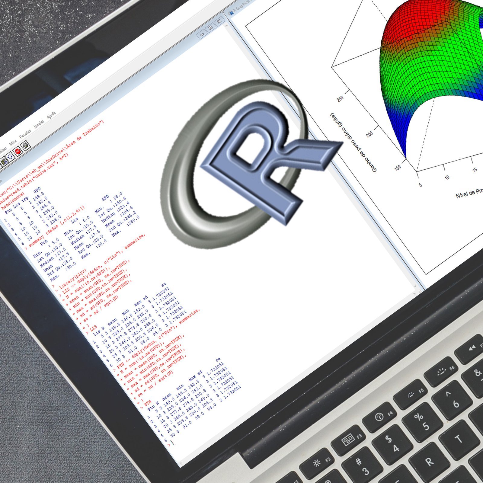 introduçao ao r-margareth