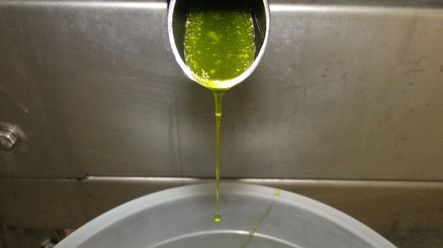 Extração experimental de óleo de abacate no Campo Experimental de Maria da Fé. Foto: Adelson de Oliveira - EPAMIG