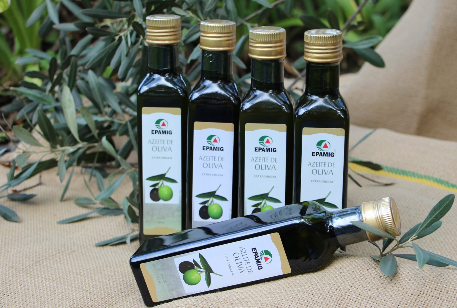 IMG_8067- azeite nacional um dos destaques do Fórum do Circuito das Águas - Foto Erasmo Pereira
