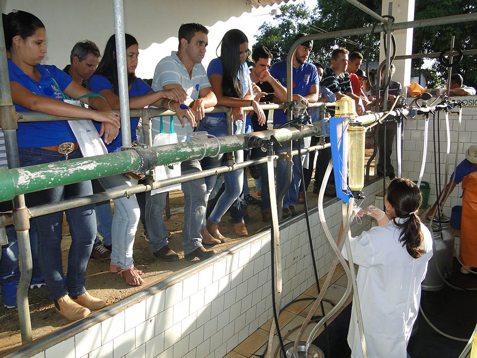 Pesquisadora da EPAMIG Cristiane Viana explica cuidados antes da ordenha
