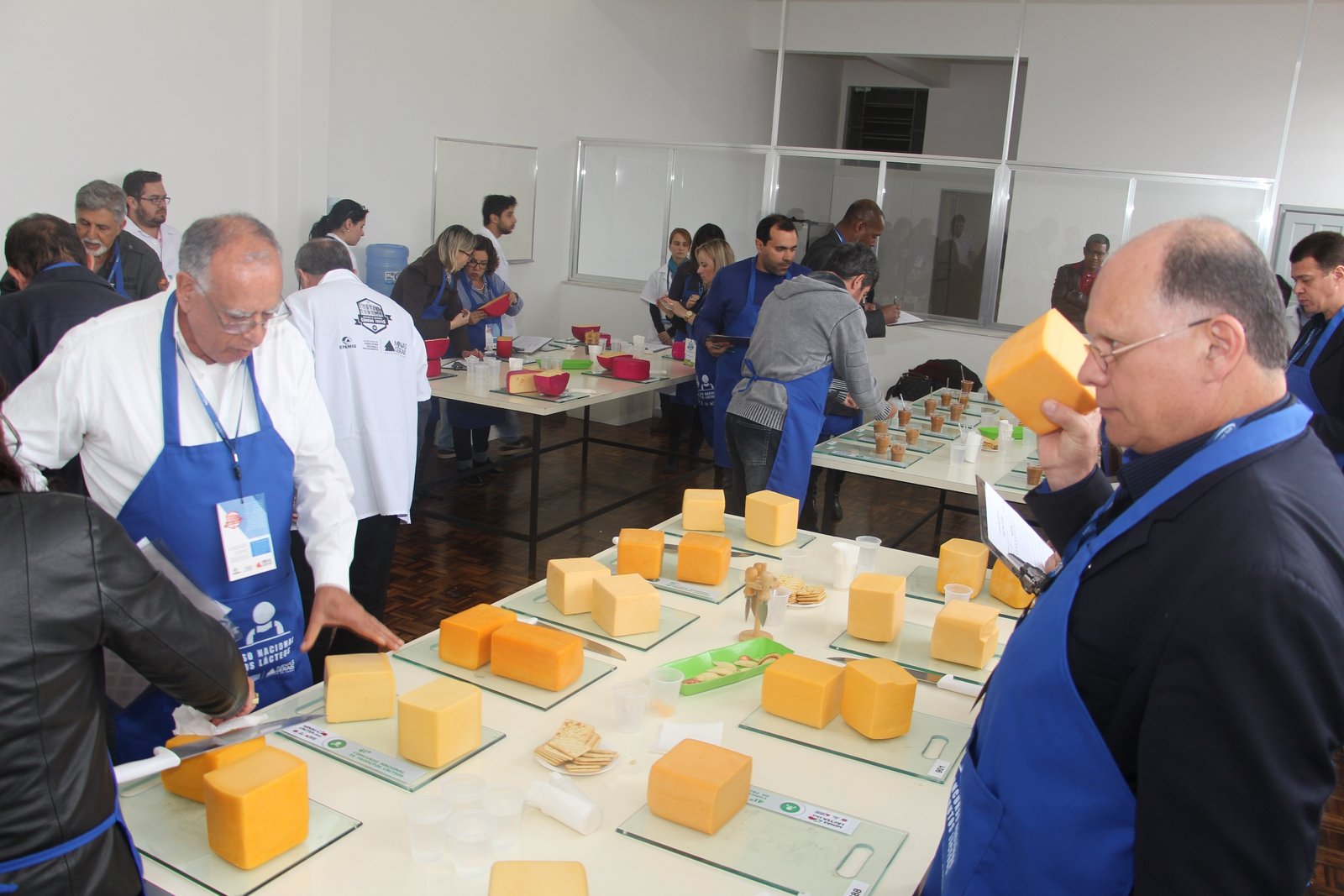 9474 - Julgamento do Concurso Nacional de Produtos Lácteos durane Semana do Laticinista
