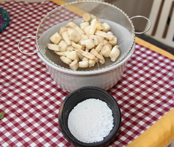 IMG_7703 - inova minas- hncs