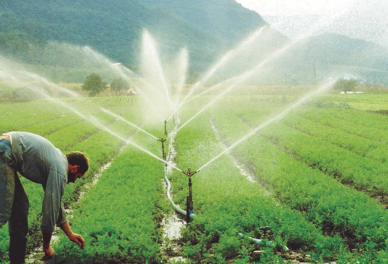 epamig-ira-apresentar-conjunto-padronizado-que-pode-ajudar-o-pequeno-agricultor-a-implantar-um-sistema-mais-simples-em-sua-lavoura