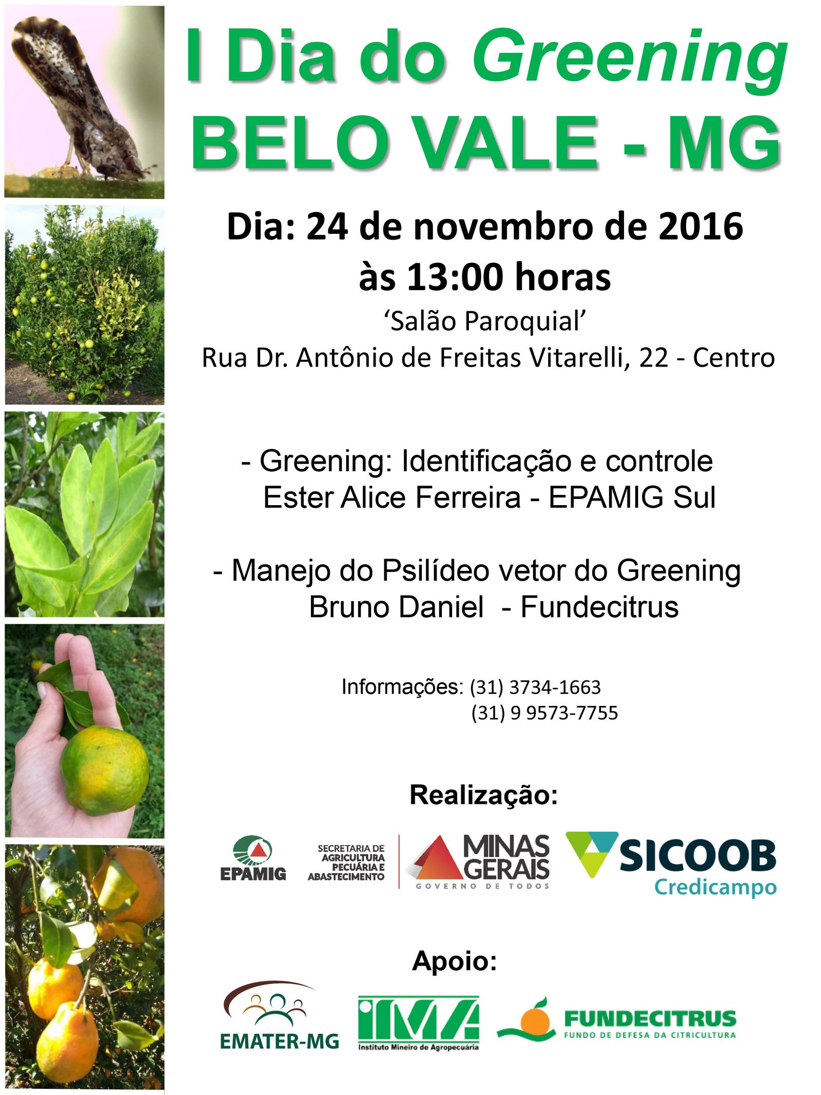 Apresentação do PowerPoint