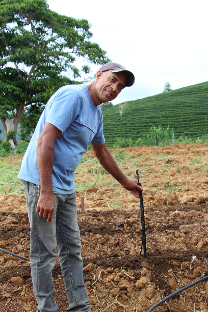 img_3616-agricultor-luiz-antonio-martins-produtores-de-taparuba-busca-diversificar-producao-inicia-cultivo-de-hortas-alem-do-cafezal