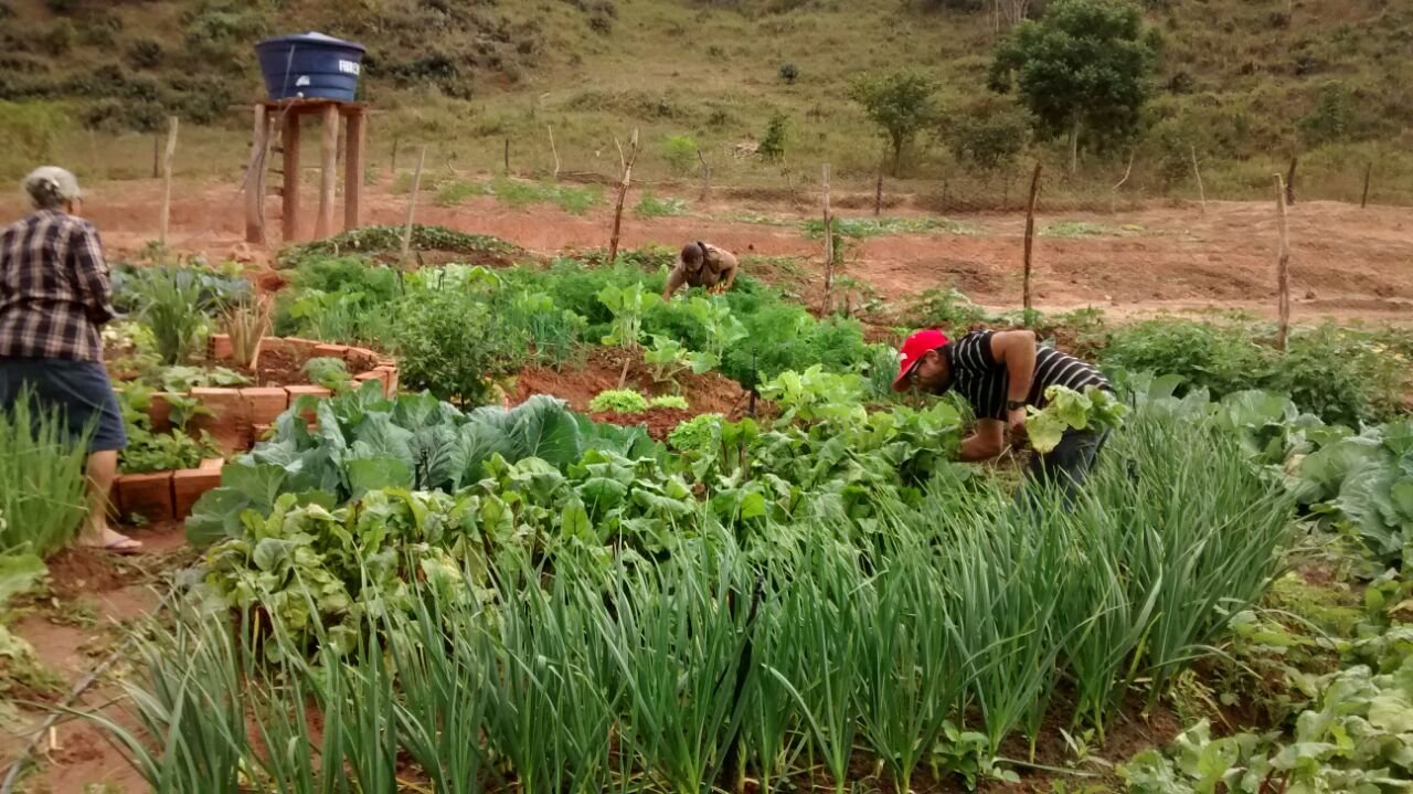 wa0042-hortas-circulares-em-santa-rita-do-itueto-complentaram-renda-e-melhoraram-alimentacao-de-agricultores-familiares-foto-elizete-rodrigues