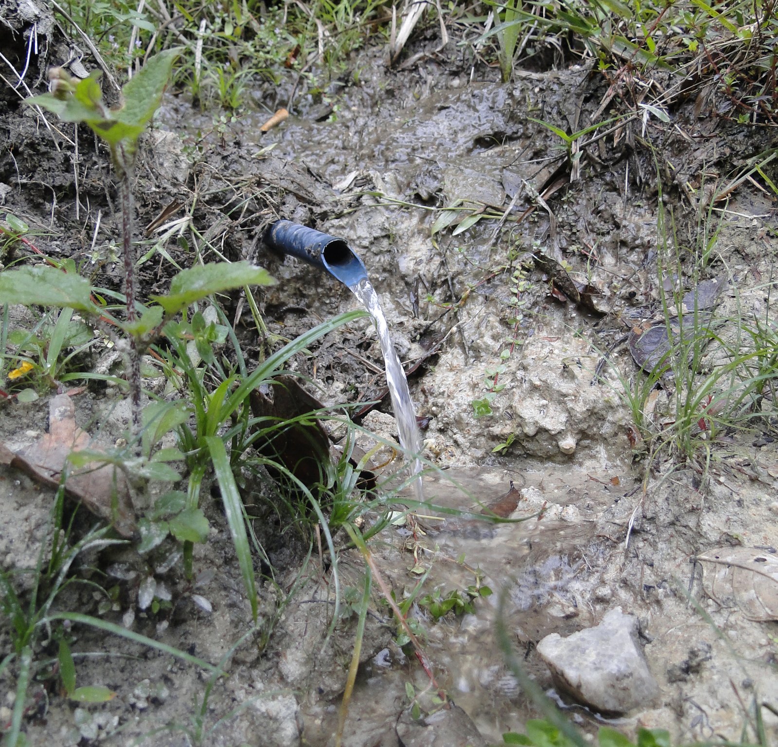 dsc02347 Campo Experimental de Itabira possui uma área de preservação de aproximadamente 64 hectares com várias nascentes