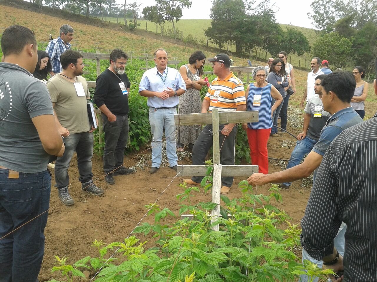 IMG-20171020-WA0019 - Divulgação Epamig