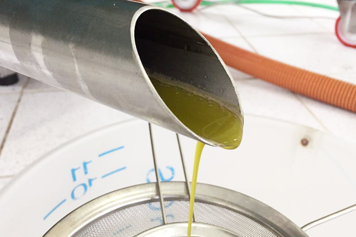 IMG-20170120-WA0005 - início da extração de azeite 2017 em Maria da Fé - Foto Luiz Fernando Oliveira