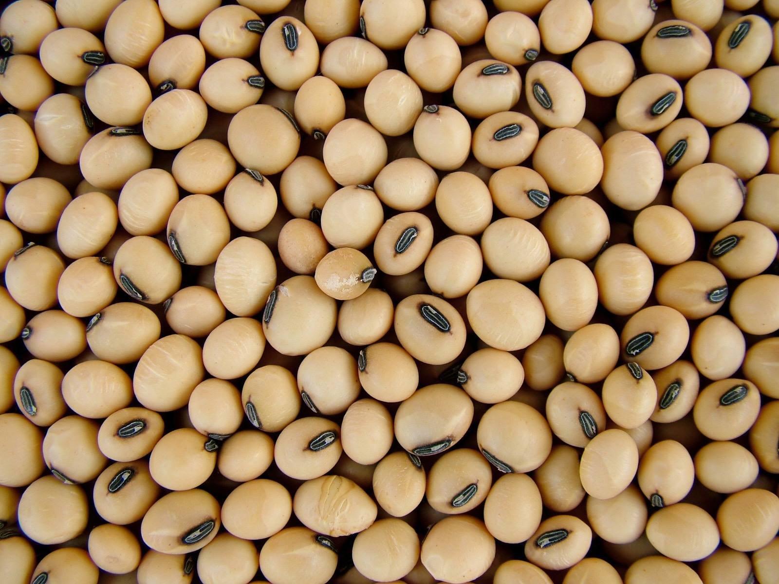 26171572_527936947564408_8039579027891837102_o