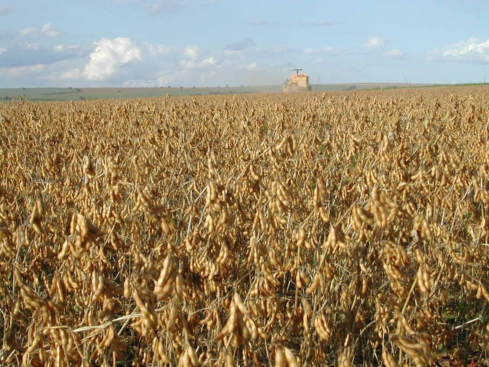 26197731_527936967564406_9011283156236139187_o