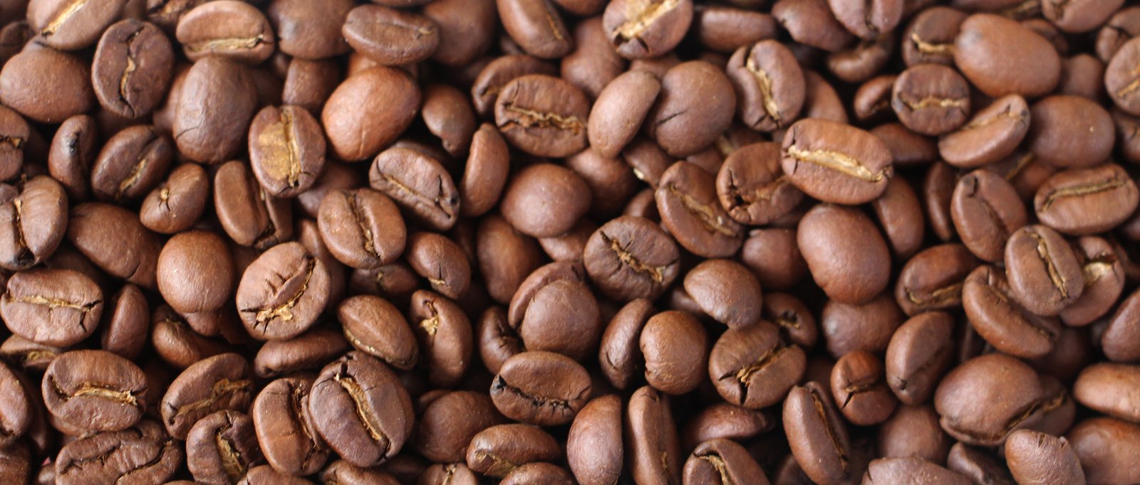 café Torrado Paraiso 2 (4)