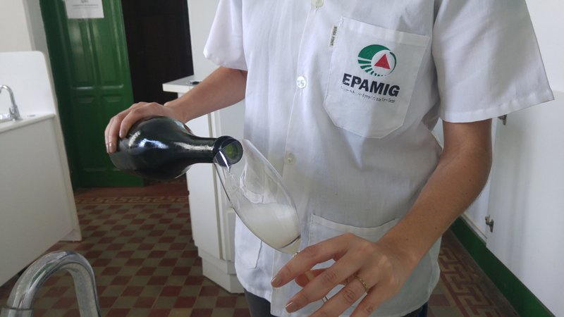 Cursos são ministrados no Núcleo Tecnológico Epamig Uva e Vinho (Crédito: Divulgação/Epamig)