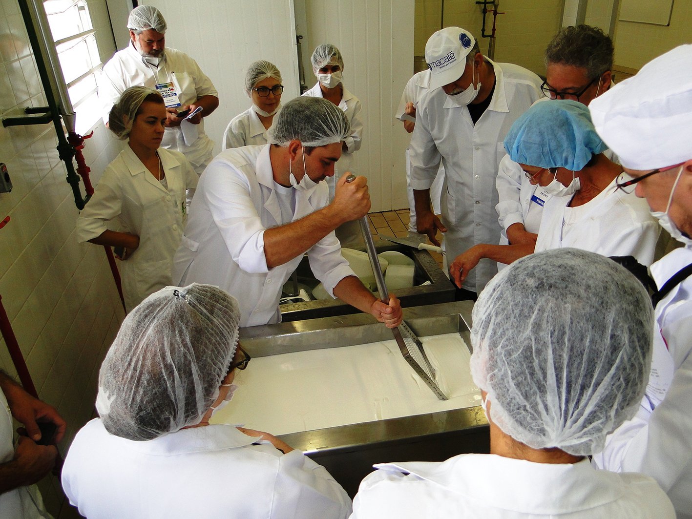 Curso de Queijos.jpg