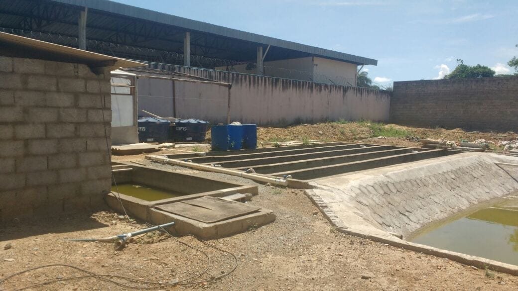 Foto: Milene de Paula