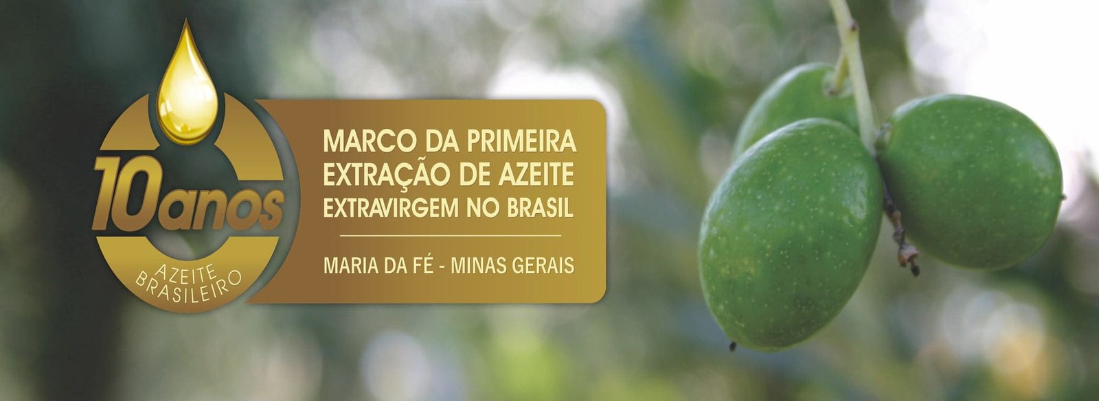 banner-dez-anos-azeite