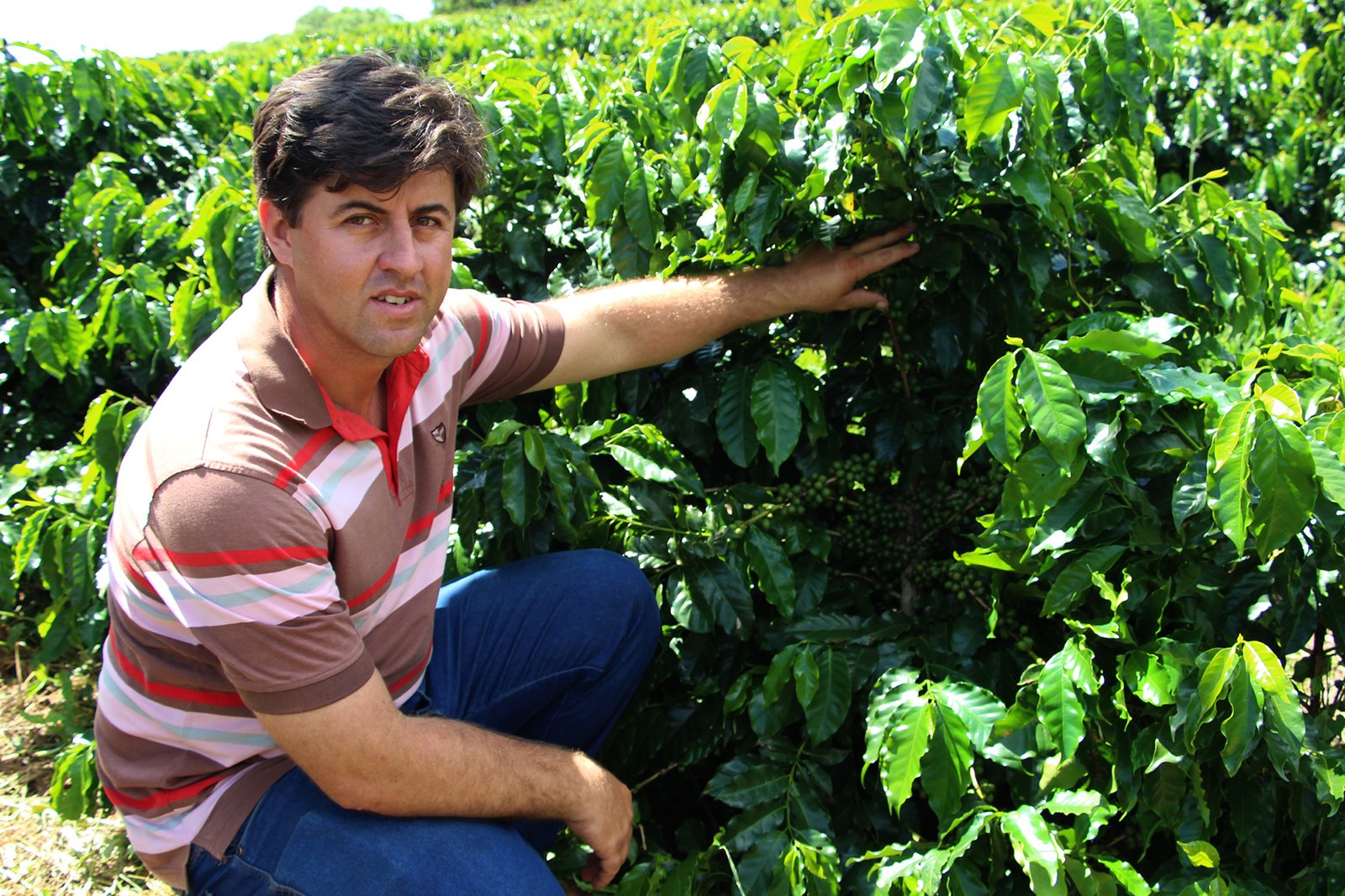 IMG_1637 Produtor Arnando