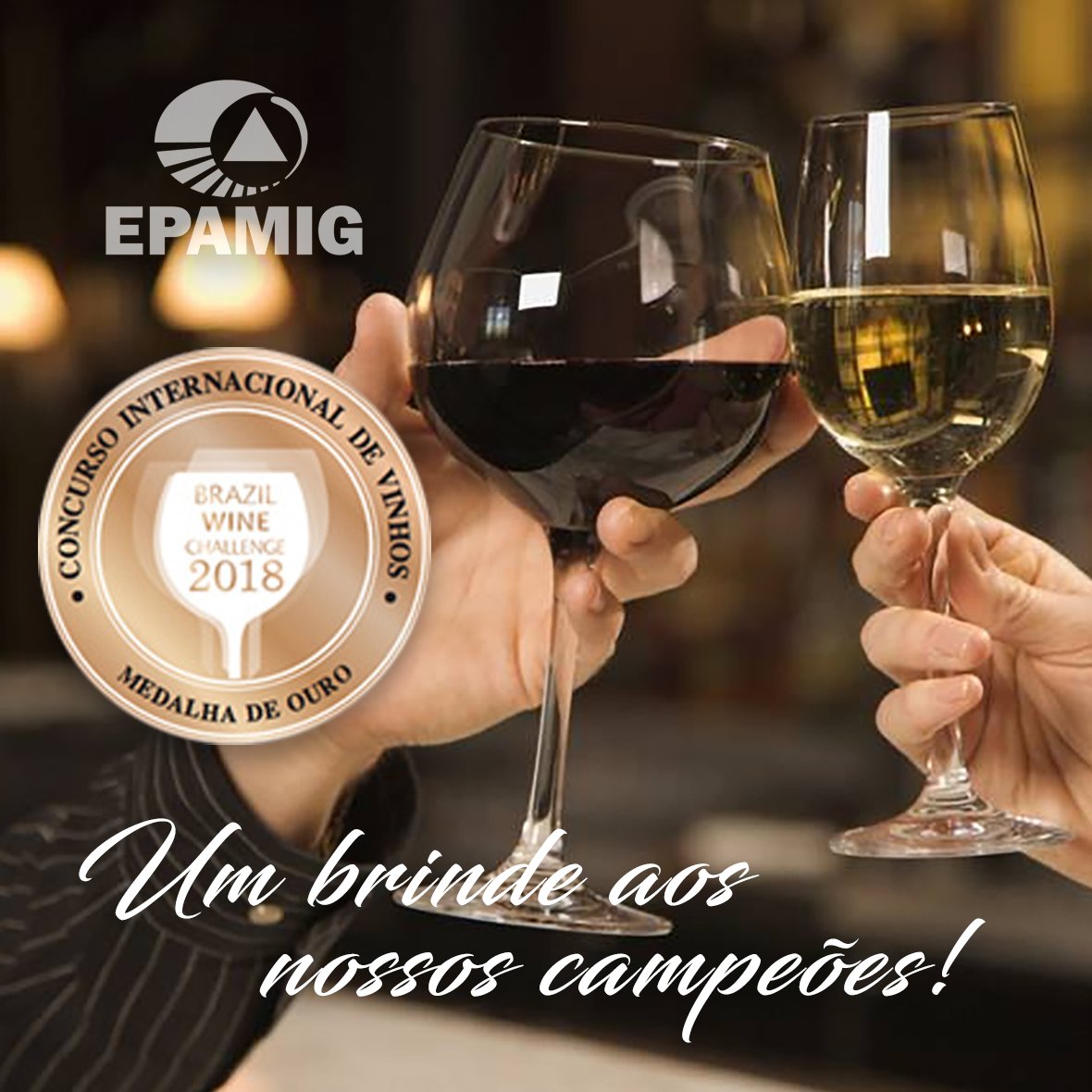 vinhos-campeões