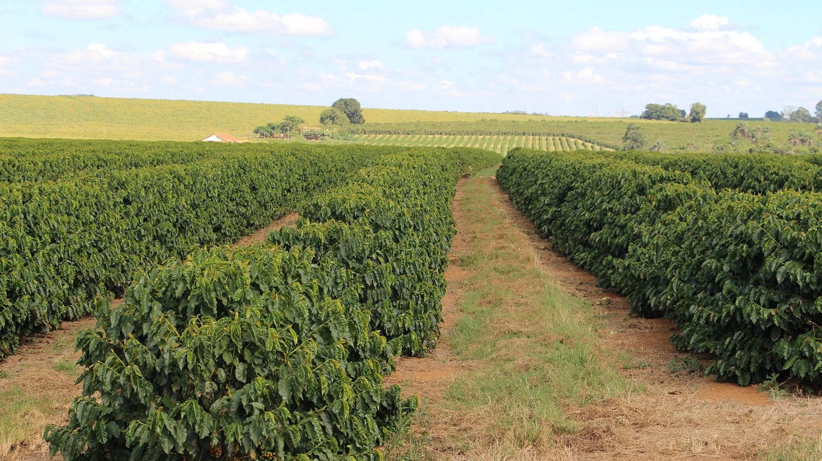IMG_1978 Encontro Cerrado