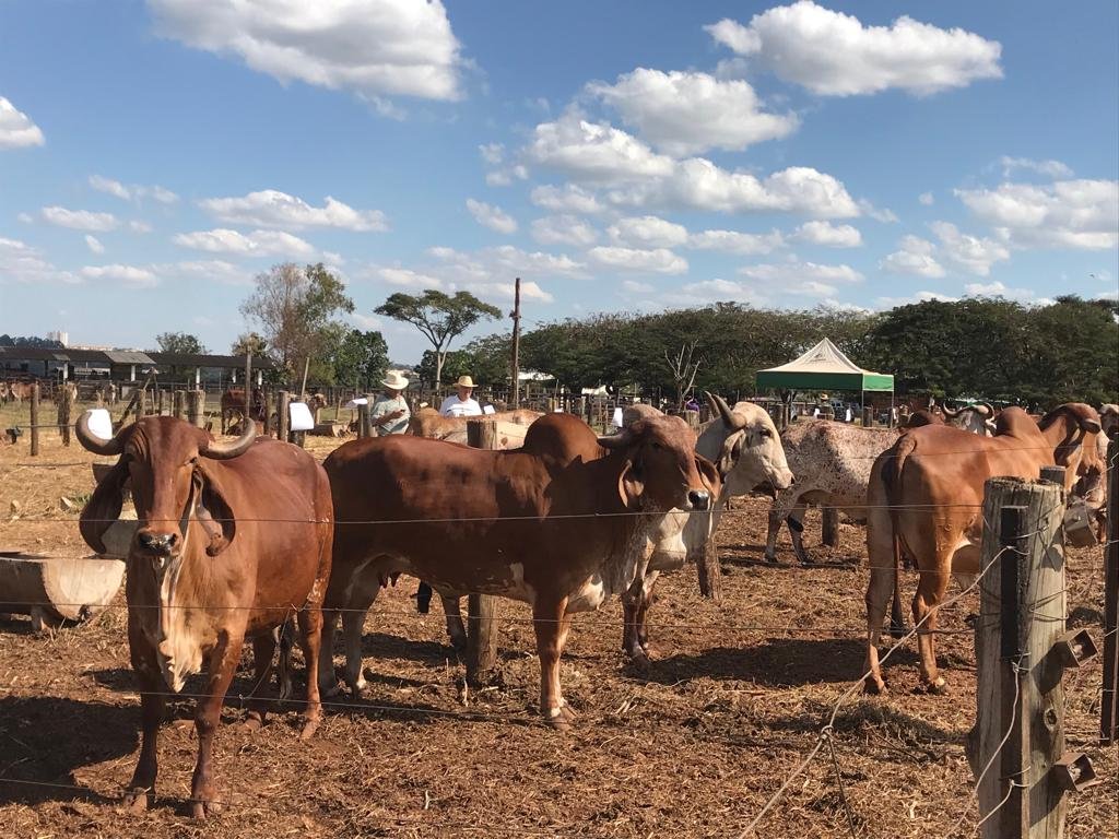 PHOTO-2019-02-05-08-56-26