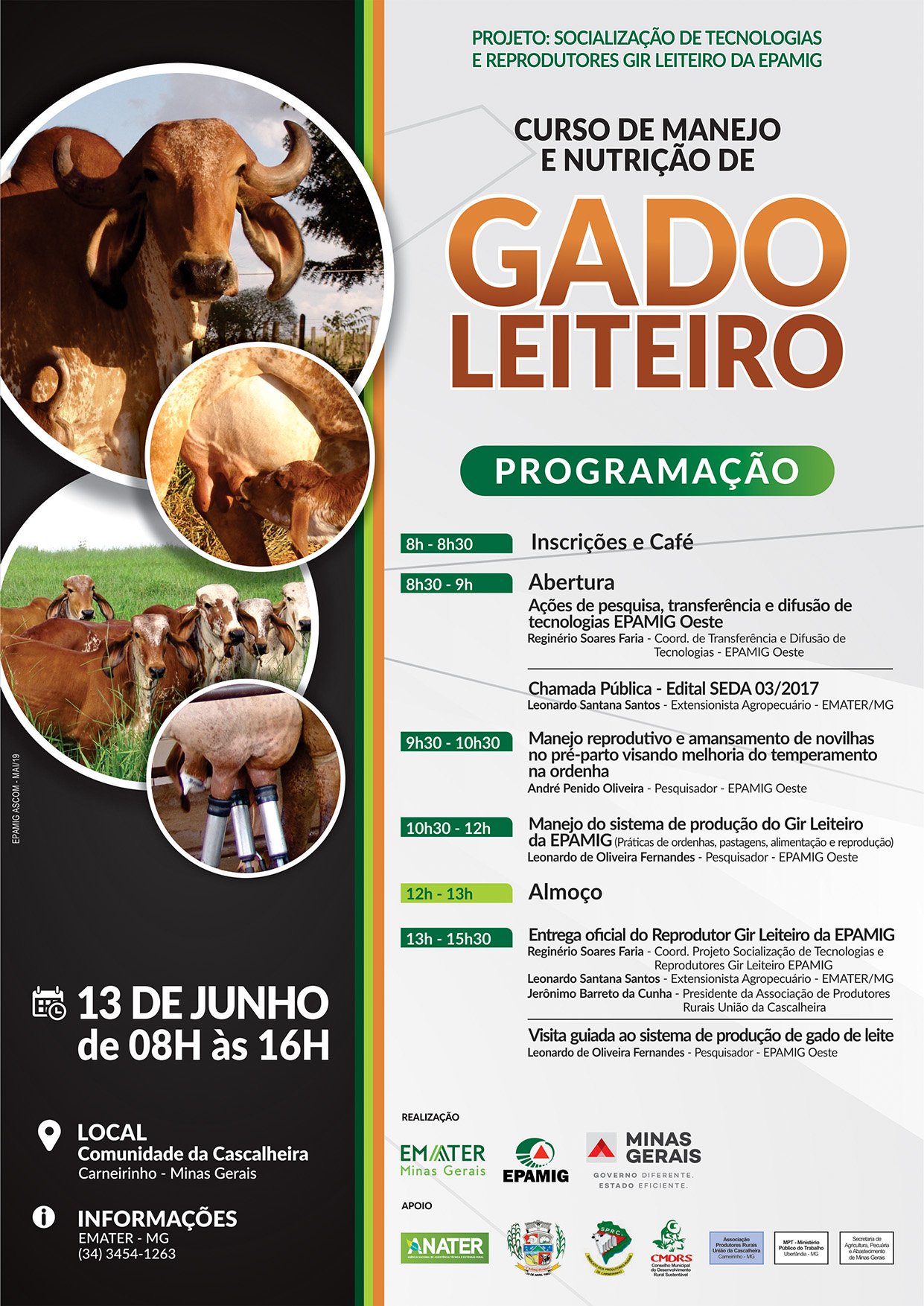 socializacao_gir_leiteiro_carneirinhos_miniatura