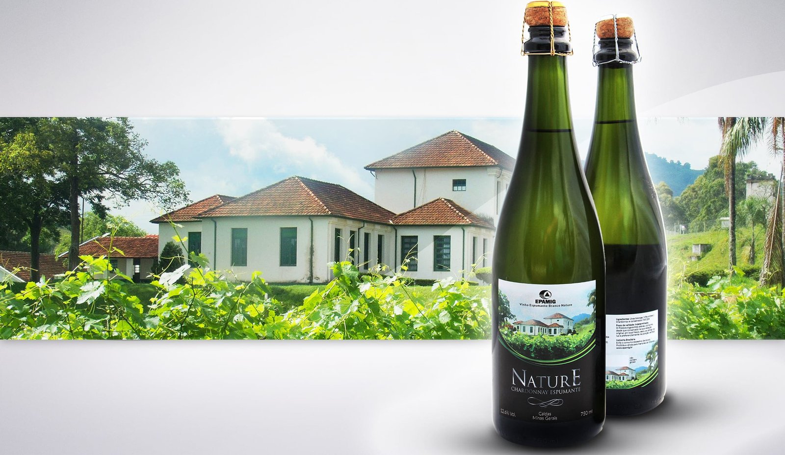 img_espumante_facebook