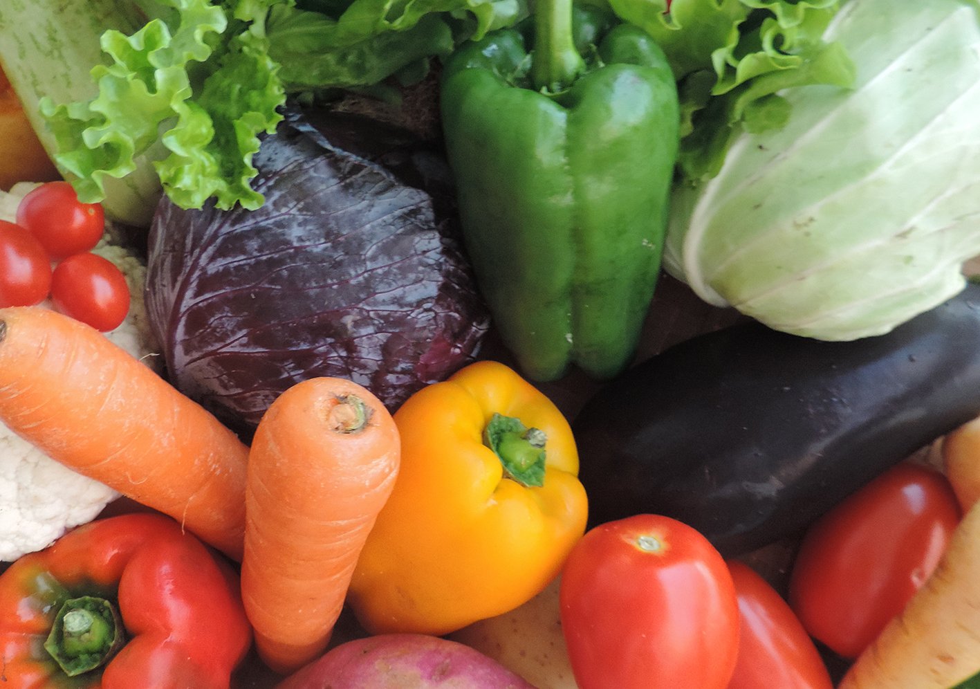 Hortaliças - Foto Sanzio Mollica Vidigal