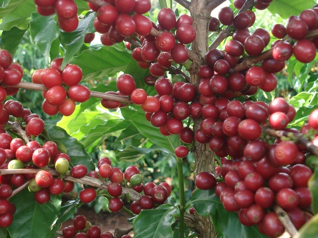 WhatsApp Image 2020-04-14 at 13.42.35