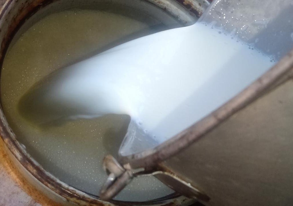 Leite cru - Foto Raphael Vilela