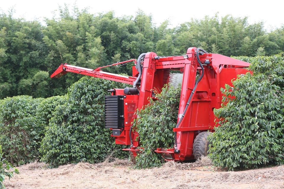 Estandes virtuais possibilitarão negócios