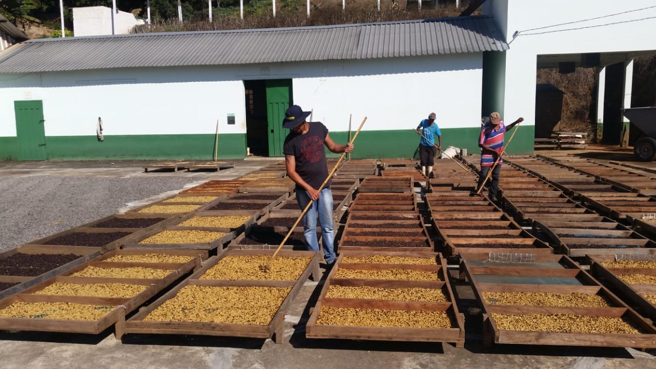 WhatsApp Image 2020-06-09 at 19.46.34