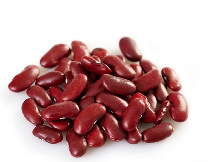 1_GG_SEMENTE-DE-FEIJO-BRS-OURO-VERMELHO