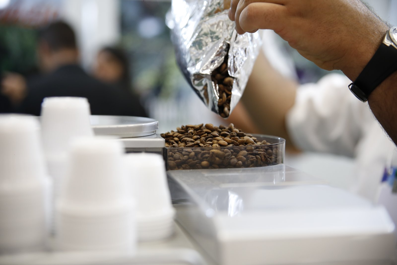 Expocafé 2020 ocorre em ambiente digital - Foto Divulgação EPAMIG