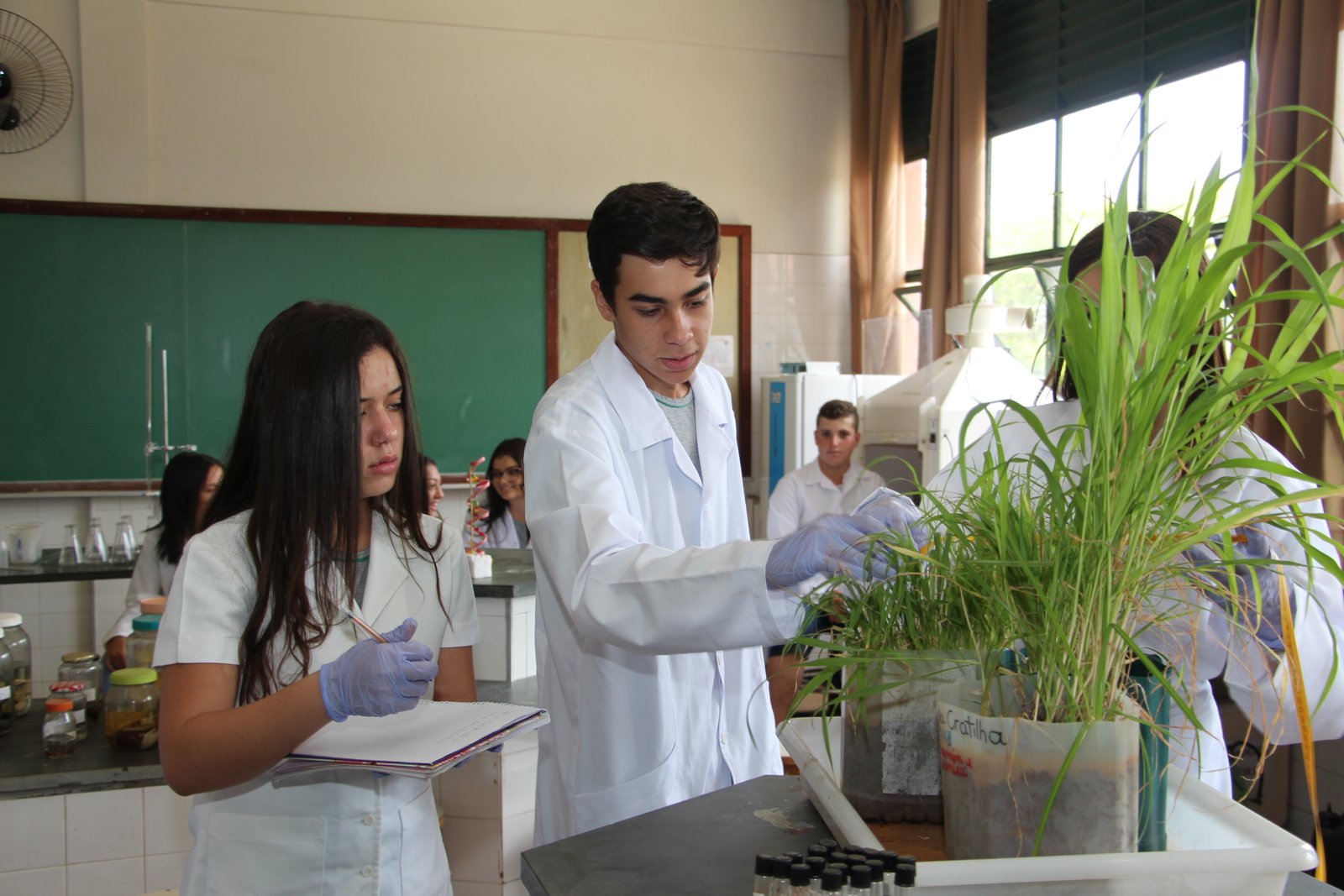Laboratorio (1)
