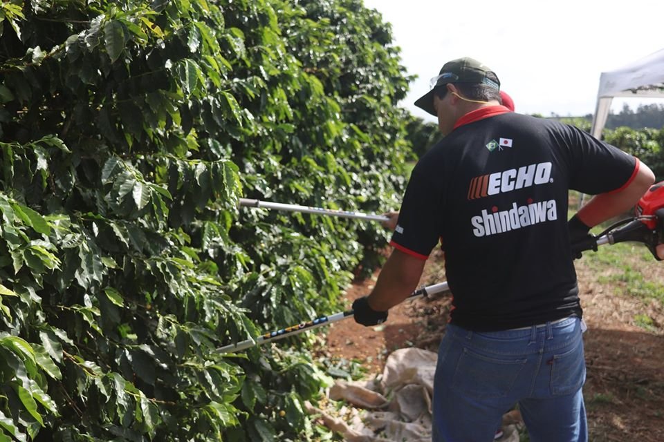 60258588_2230180907071728_6834161582121943040_o