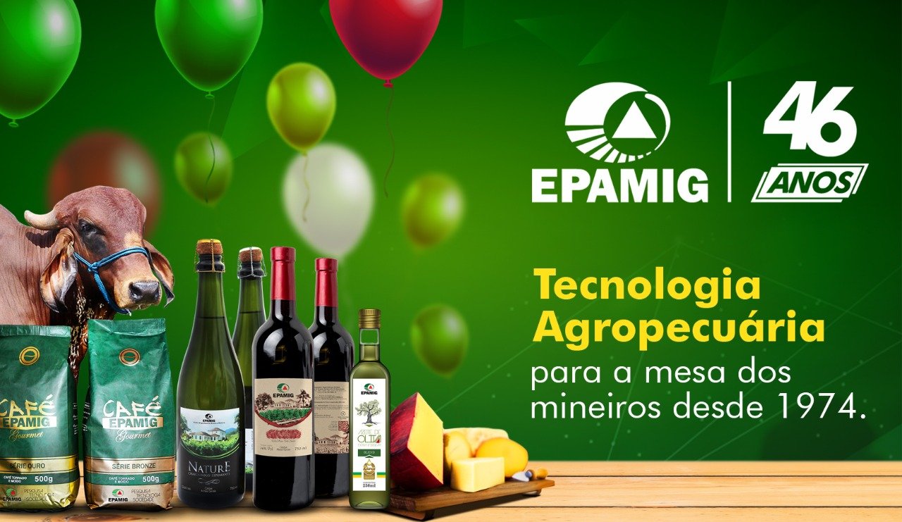 WhatsApp Image 2020-08-06 at 15.13.41